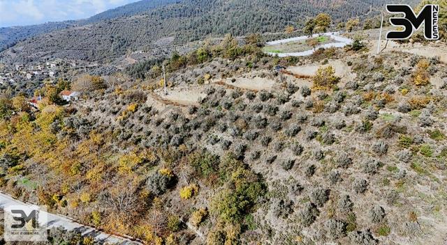 Sakarya Geyve Saraçlı 1115 M2 Müstakil %40 İmarlı Arsa 3