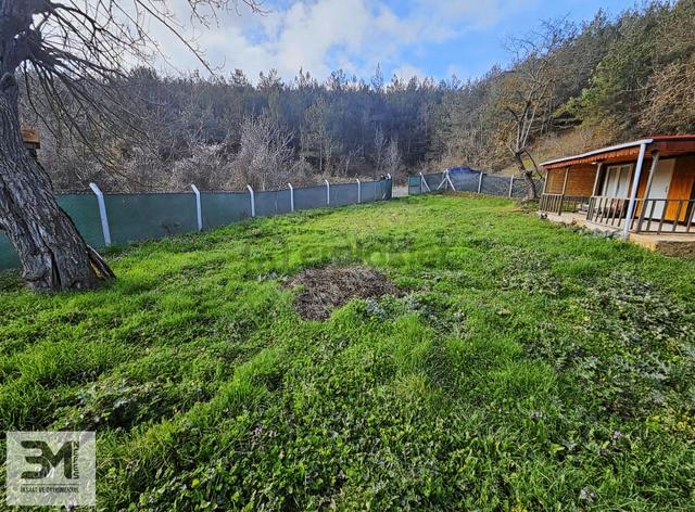 Sakarya Geyve Ahibaba Asfalta Cephe 520 M2 Arsa Ve Konteyner 4