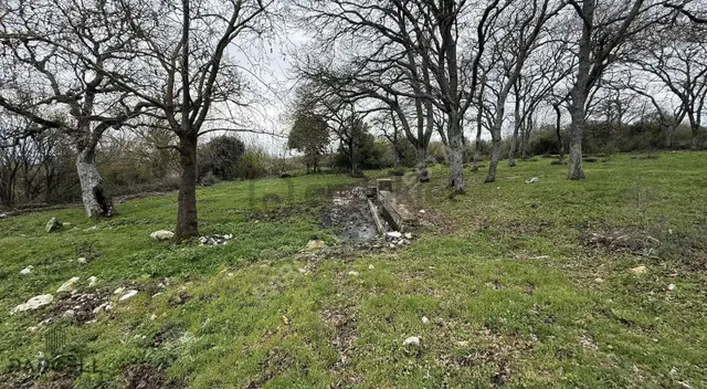 Balıkesir Balya Akbaş'da Doğa Manzaralı Bahçe 5