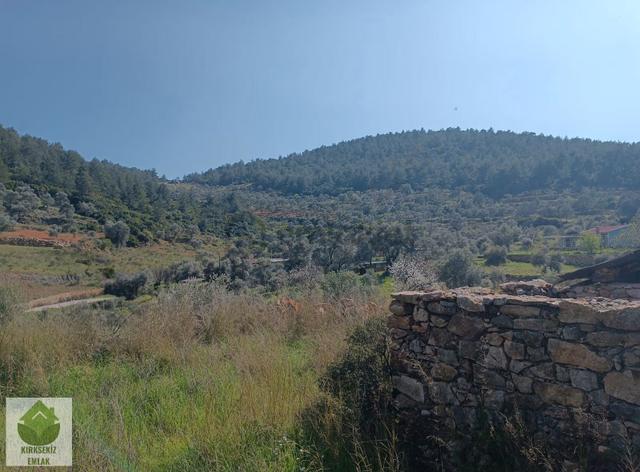 Muğla Menteşe Zeytinköyde 2.954 M² Satılık Tarla... 4