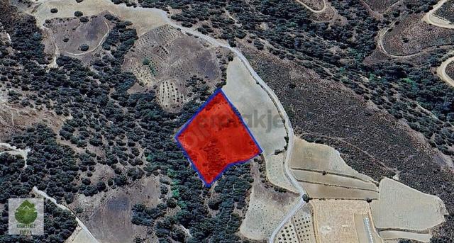 Denizli Kale Esenkaya'da Yatırımlık Satılık 11.342 M² Tarla... 1