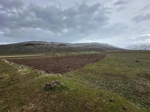 Ağrı Patnos'ta Satılık Tarla 1