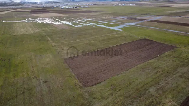 Ağrı Patnos'ta Satılık Tarla 2