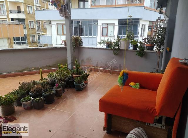 Rize Fenerde Maviliğe Uyanın! Kesintisiz Full Deniz Manzaralı 4