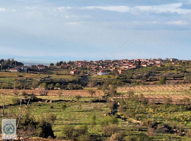 Mahalle Dibinde,piknik Alanı,çeşme Dibinde Üzüm Bağı Çal Ortaköy 3