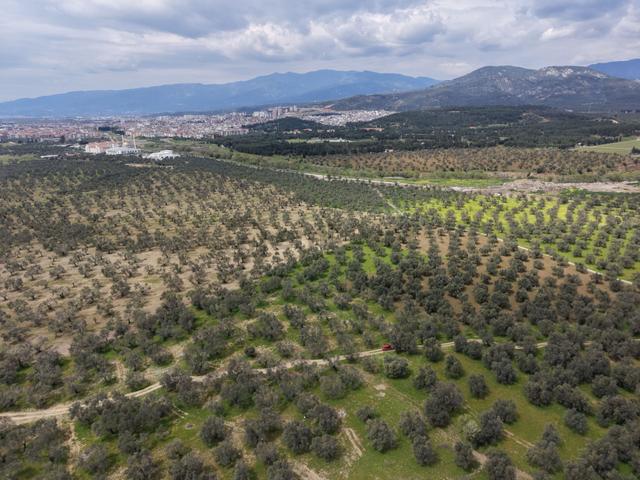 ▀▄mera Emlaktan Gazi İlyas Mh. Hastane Yakını 210m2 Zeytinlik 4