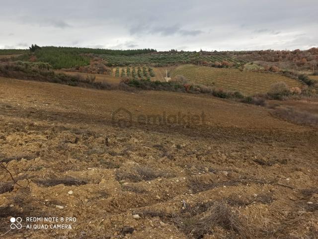 Se&as Exclusıve: Manisa Soma Vakıflı Mahallesi Yatırımlık Tarla 4