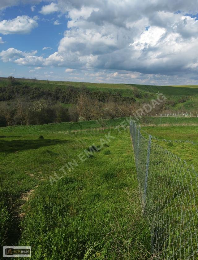 Tekirdağ Ahmedikli'de Manzaralı, İmarlı 570m² Arsa 2