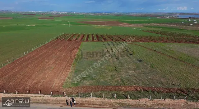 Arstu Gayrimenkul Furkan'dan Yol Üstü Satılık Tarla 3
