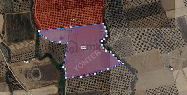 Yönter Emlaktan Derebaşında Satılık 34 Dönüm Kurulu Düzen 3