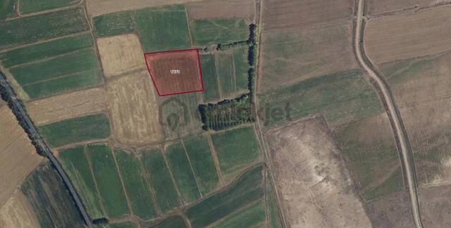 9933m2 Tokat Merkez Çerçi Köyü'nde Satılık Sulak Tarım Arazisi 5