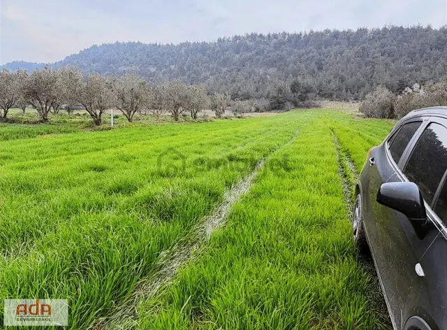 Sakarya Geyve Karacaörende İnşaata Hazır Projeli Arsa 4