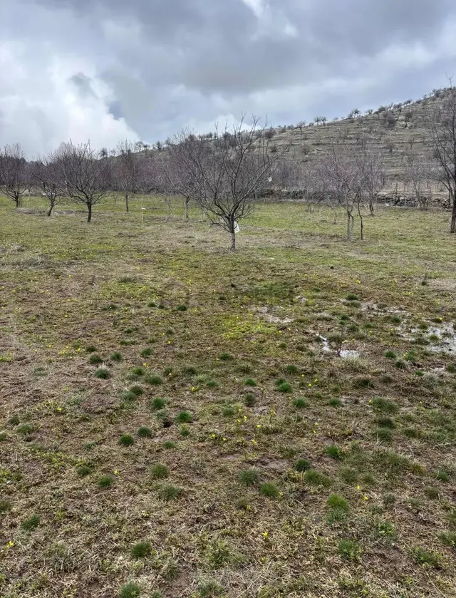 Afyon/büyükkalecik Te Satılık 13598 M2 Tarla 4