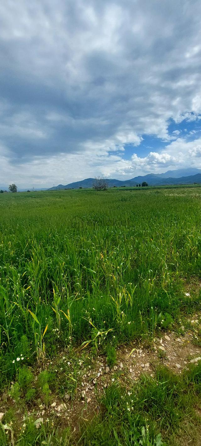 10250 M2 Dümdüz Arazi 5