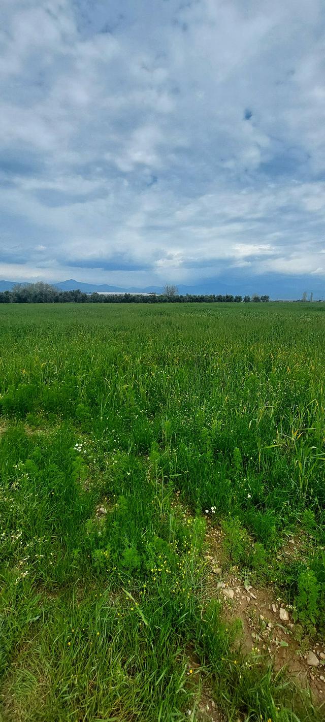 10250 M2 Dümdüz Arazi 4