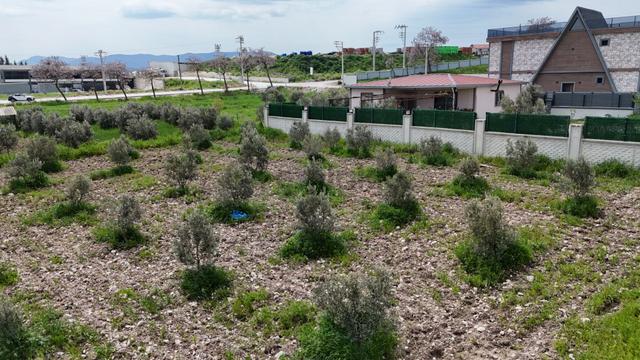 İzmir Menderes Tekelide Konut-villa 695 M2 Doğalgazlı Köşe Arsa İnşaat Yap 5