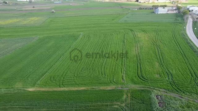Balıkesır Gönen Paşa Çıftlık Mahallesı’nde 3322 Metre² Satılık Tarla 4