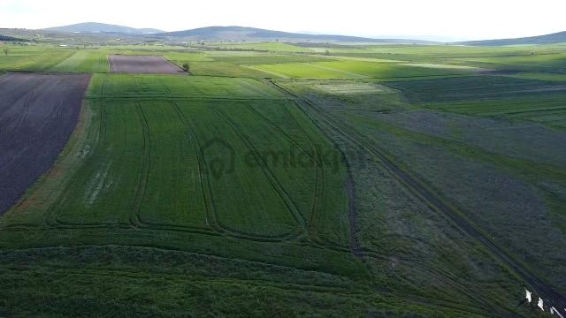 Balıkesır Gönen Paşa Çıftlık Mahallesı’nde 3322 Metre² Satılık Tarla 5