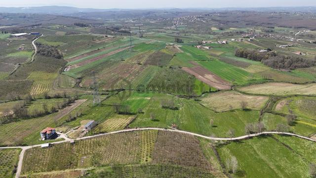 Tarcanlar'dan Sakarya Kaynarca Asfaltyol Cepheli 6.225 M² Tarla 2