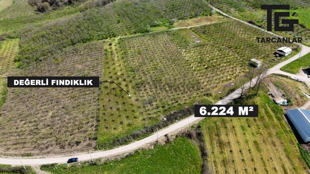 Tarcanlar'dan Sakarya Kaynarca Asfaltyol Cepheli 6.225 M² Tarla 2