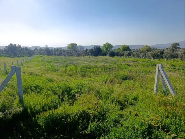 Torbalı Dirmil Mahallesi'nde 1848m2 Satılık Bağ 5