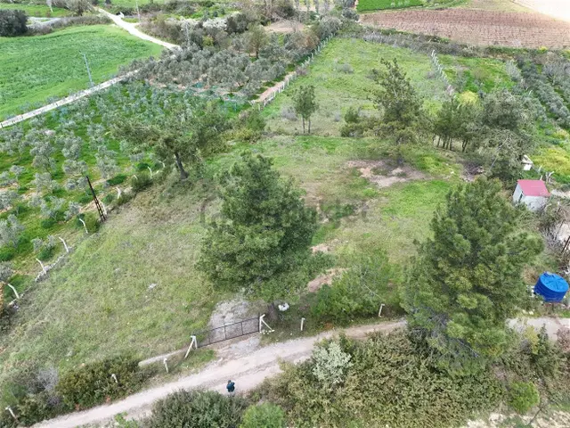 Menderes Turyap'tan Yeniköy'de 5000m² Satılık Tek Tapu Tarla 3