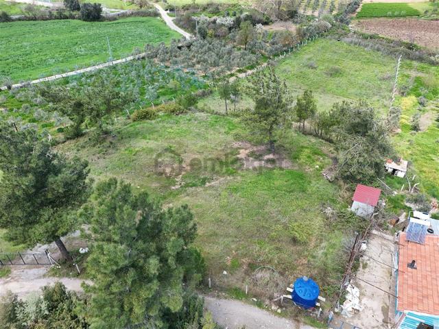 Menderes Turyap'tan Yeniköy'de 5000m² Satılık Tek Tapu Tarla