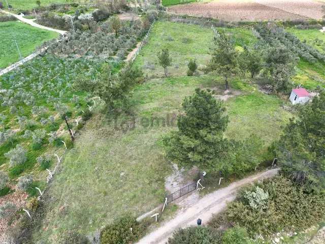 Menderes Turyap'tan Yeniköy'de 5000m² Satılık Tek Tapu Tarla 2