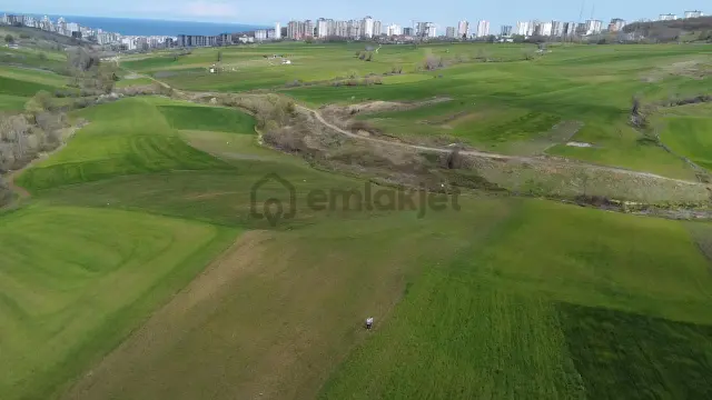 Can Emlak'tan Satılık Ticari Depolama Alanlı Arsa 3