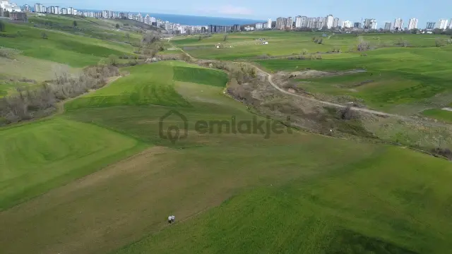 Can Emlak'tan Satılık Ticari Depolama Alanlı Arsa 2