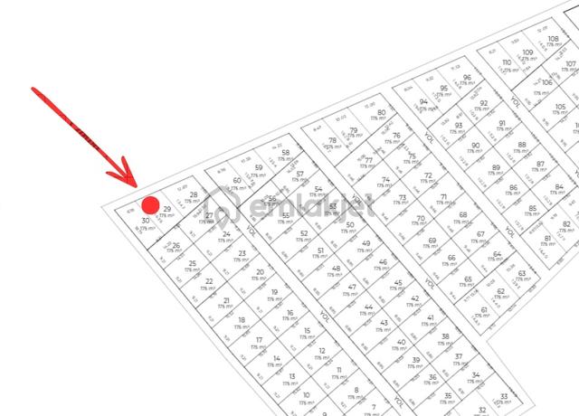 Malkara Balabancık Köy İçi 175 M² Acil Satılık 4