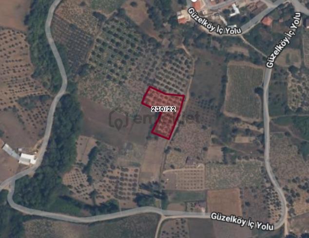 Varlı Kent'ten Şarköy'de İmara Sınır Denize Yakın 2.5 Dönüm Bağ 5