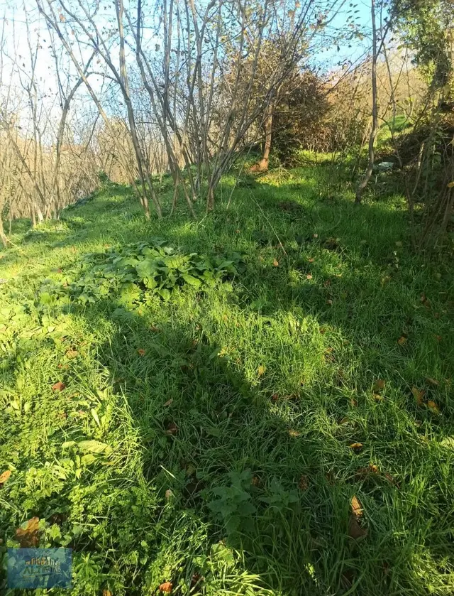 Akyazı Altındere Arsa 3