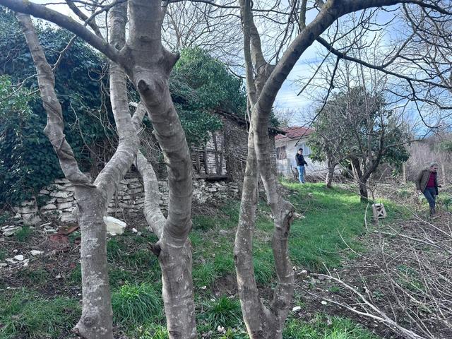 Kocaali'de Deniz Manzaralı, 3 Kat Yapı Yapılmasına Uygun Arsa 3