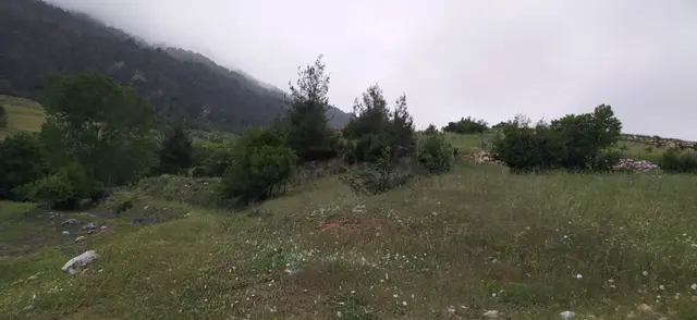 Mersin Mezitli Fındıkpınarı Yaylası'nda Çok Amaçlı Kullanılabilir Tarım Arazisi 2