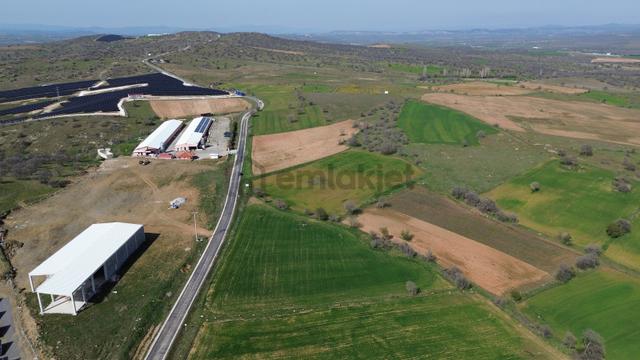 Satılık Tarla Uşak Eşme Takmak Köyü (bozlar Yolu Üzeri) 5