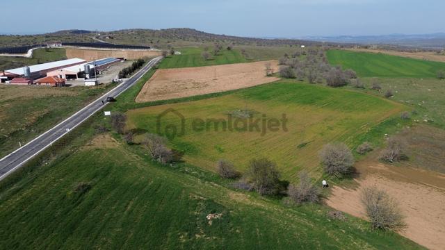 Satılık Tarla Uşak Eşme Takmak Köyü (bozlar Yolu Üzeri) 2