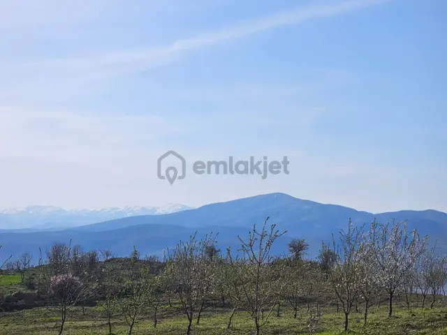 Hakev'den Çelik Köyünde Ana Yola Yakın Satılık 19 Dönüm Tarla 3
