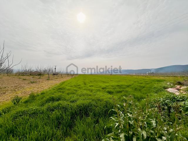 Remax Advantage Yenişehir Koyunhisar Köyü 2697 M2 Satılık Tarla 5
