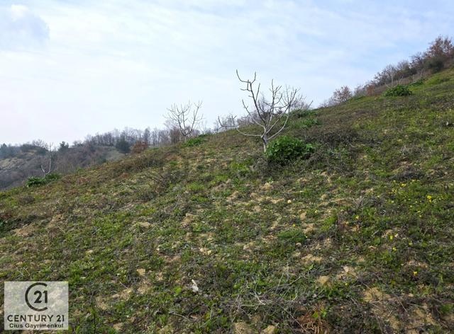 C21 Cius; Katırlı 7458 M² Satılık İncirlik Yatırımlık Fırsat 4