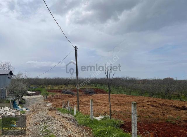 Balcıoğlundan Deniz Ve Doğa Manzaralı Müstakil Konut İmarlı Arsa 5