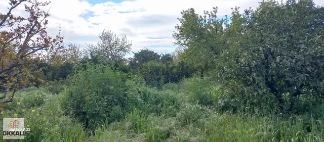 Okkalı Emlak Tan Menemen Yayla Mah.de Satılık Arsa 3
