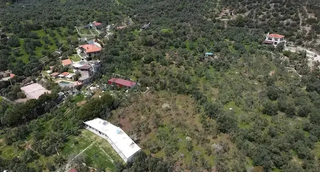 Canakkale Ayvacık Ahmetçe Denize Yakın Yatırımlık Zeytinlik 2