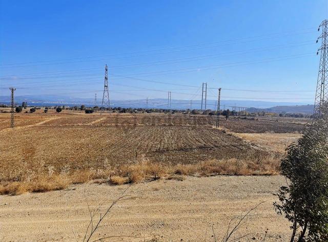 Gelibolu Sütlücede Satılık Tarla 2