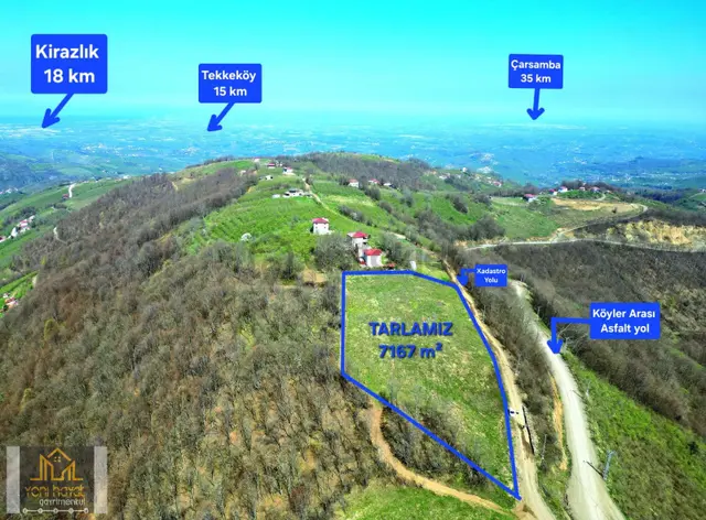 Tekkeköy Yaylageriş Tek Tapu Yola Cephe 7167m² Satılık Tarla 1