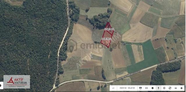 Kandıra Seyitaliler Mahallesi'nde 2663 M2 Fırsat Tarla 3