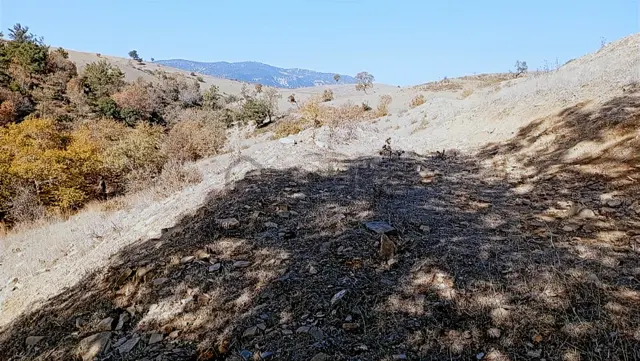 Akdam Mahallesi Çökelikciyeri Mevkii Satılık Tarla 3