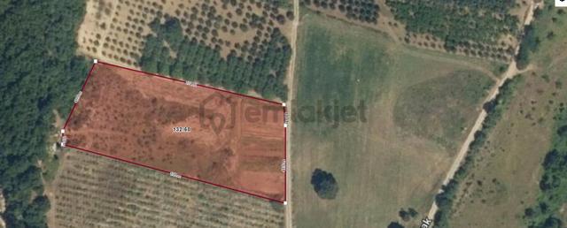 Turyap Yusuf'tan Yalova Çukurköy'de 6871m² Yola Cepheli Arazi 5