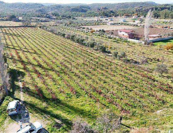 Menderes Turyap'tan Dereköy'de Satılık Tek Tapu 6847m² Bağ 4