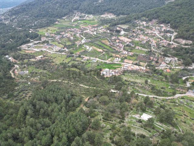 Fethiye Kızılbel'de Satılık 2 Adet Müstakil Tapulu Tarla 4